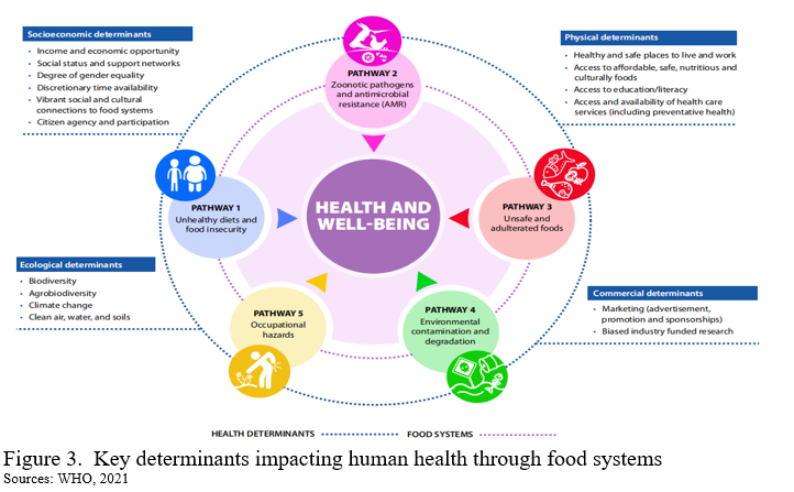 Reinventing Circular Agriculture, Sustainable Food System And Healthy ...